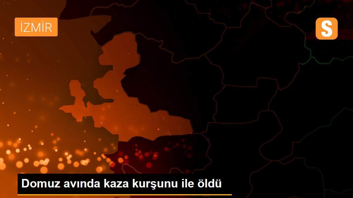 Domuz avında kaza kurşunu ile öldü