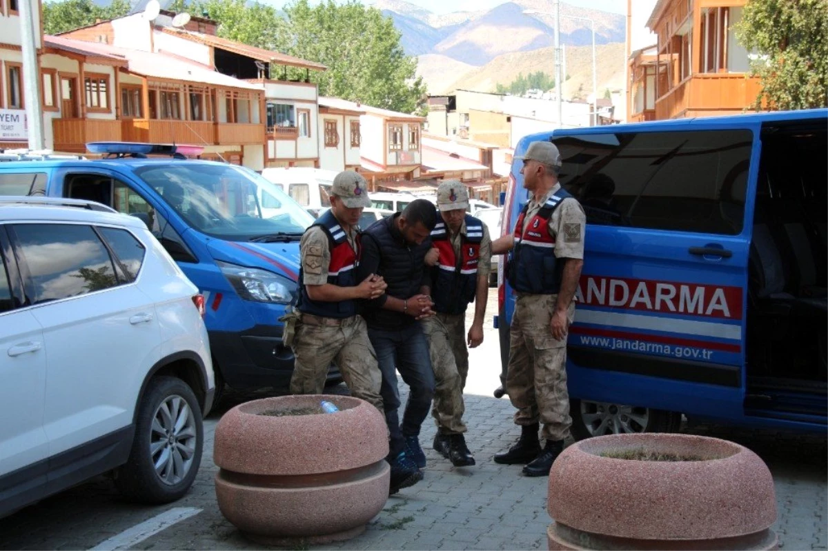 Erzurum\'da hayvan hırsızlığı çetesi çökertildi