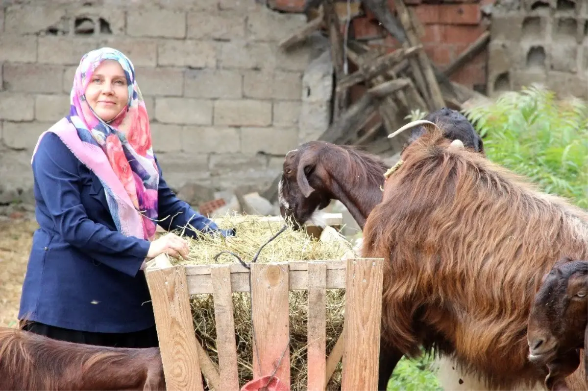 Evinin bahçesinde 17 bin lirayla başladığı işte şimdi siparişlere yetişemiyor