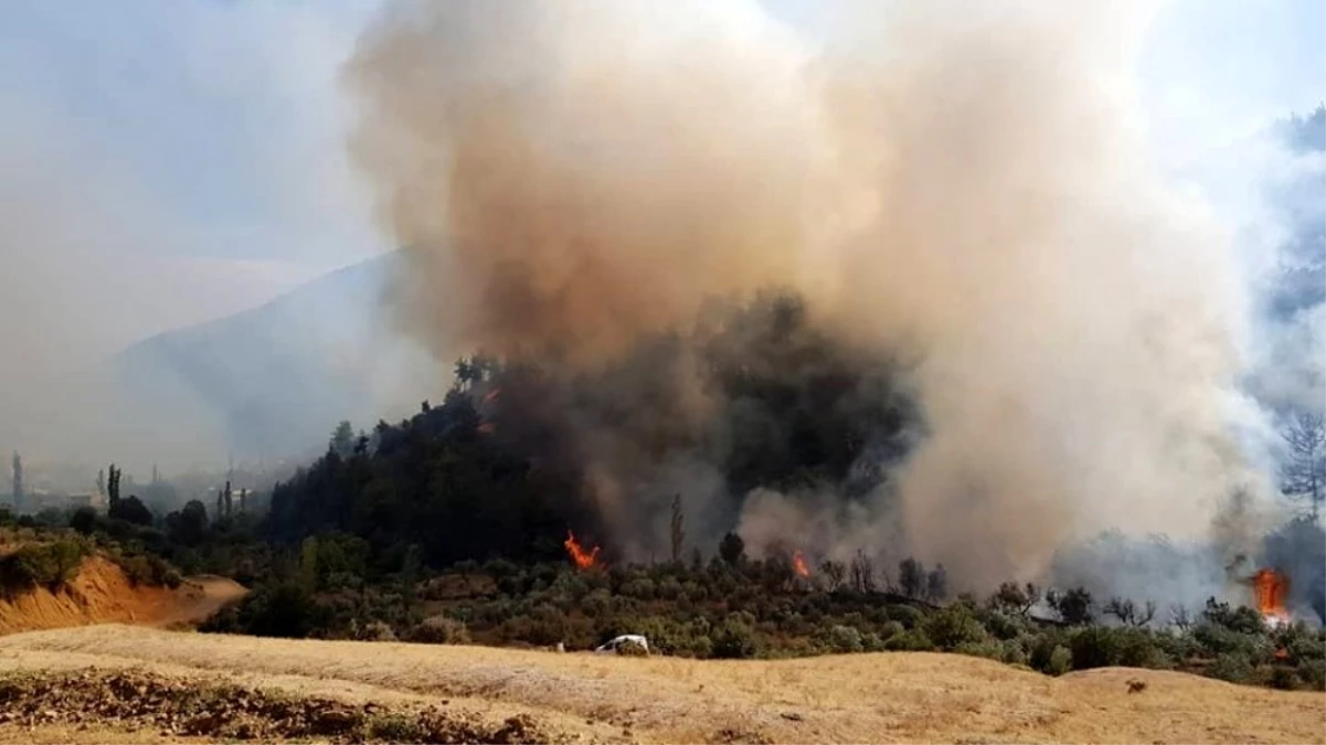 Hatay\'da çıkan orman yangını kontrol altına alındı