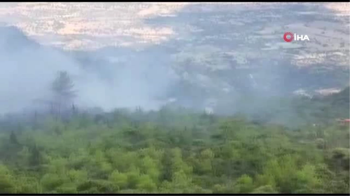 KKTC\'de Orman Yangını Kontrol Altına Alındı