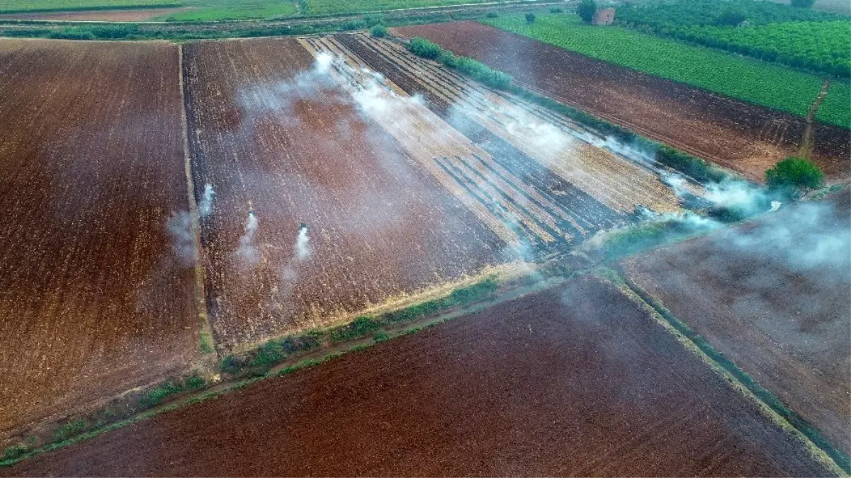 Sorumsuz çiftçiler anızları yakıyor