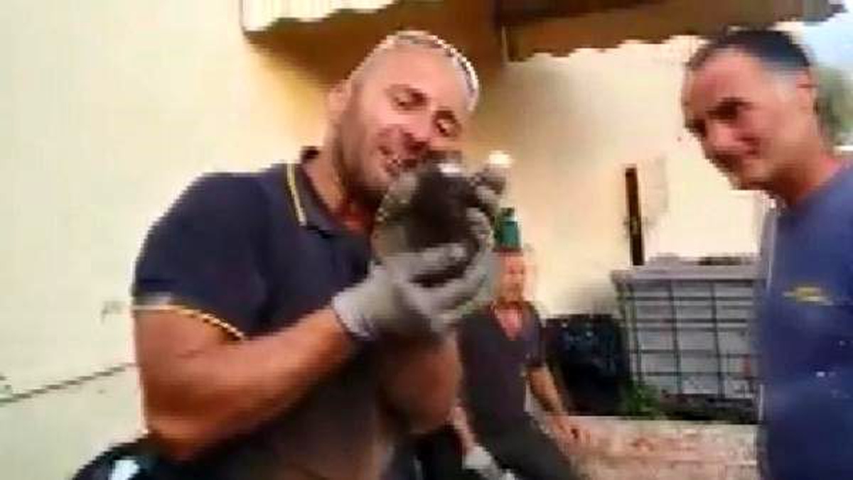 Yavru kediyi kurtaran itfaiyeci gözyaşlarına hakim olamadı