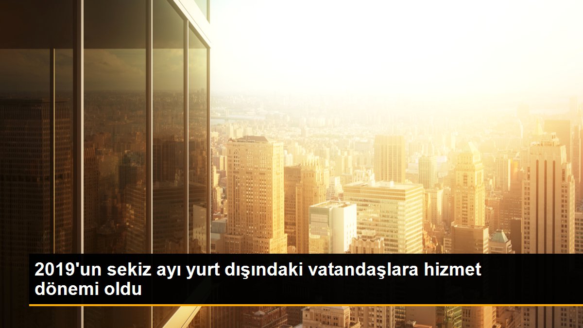 2019\'un sekiz ayı yurt dışındaki vatandaşlara hizmet dönemi oldu