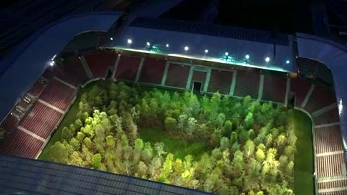 Avusturya\'da futbol sahası ormana dönüştü