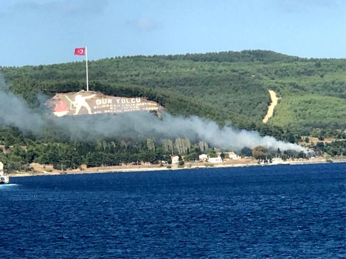 Çanakkale\'de orman yangını