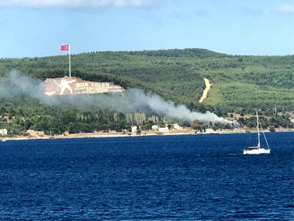 Çanakkale\'de orman yangını söndürüldü