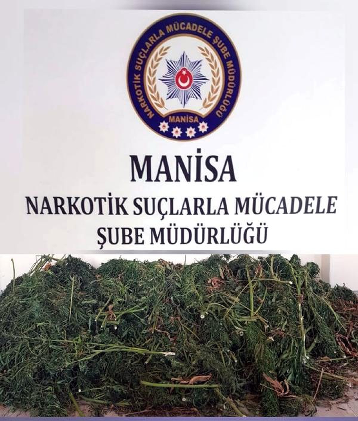 Depoda sakladığı 23 kilo esrarla yakalanıp, tutuklandı