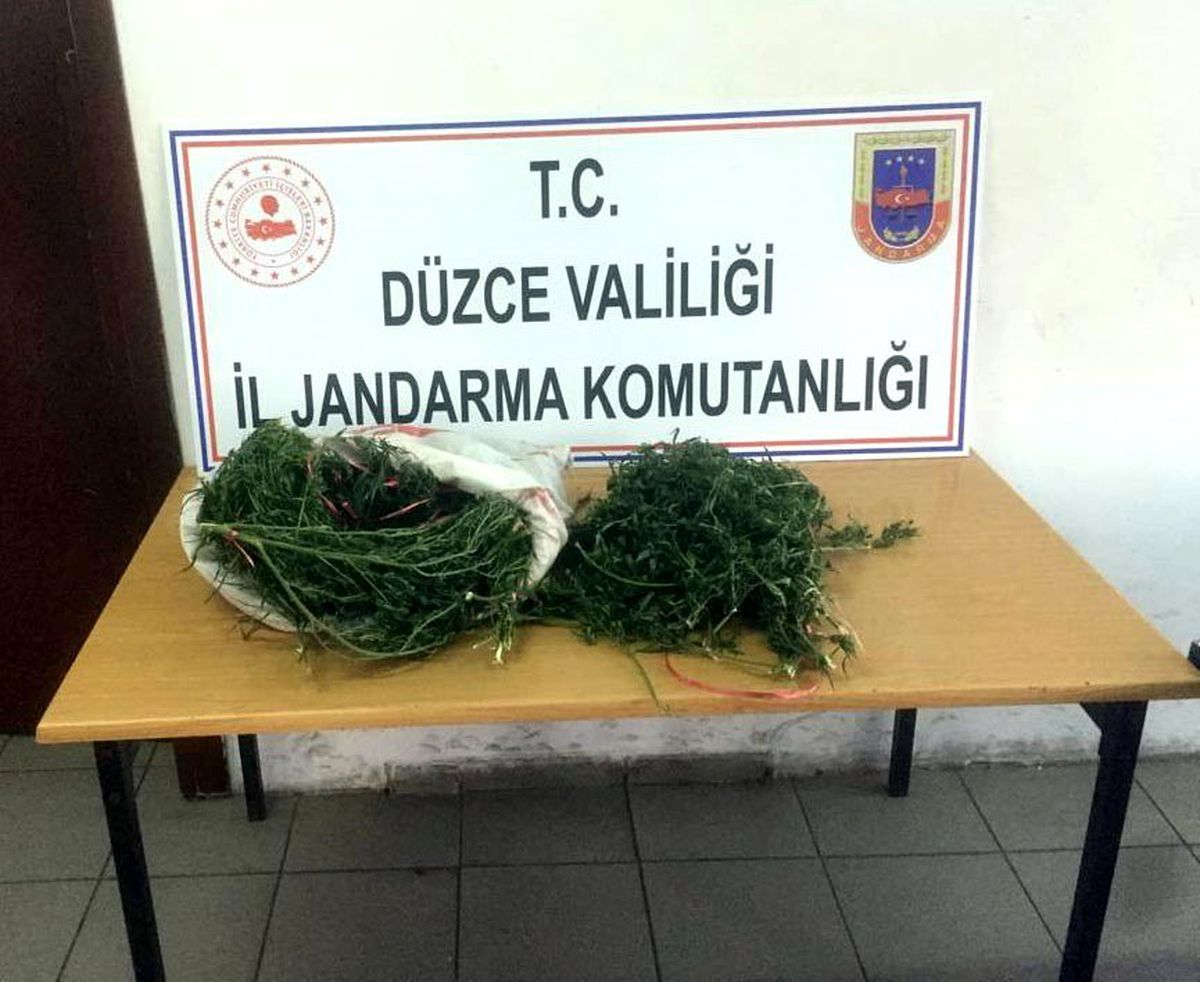 Düzce\'de 2 kilo 750 gram esrar ele geçirildi