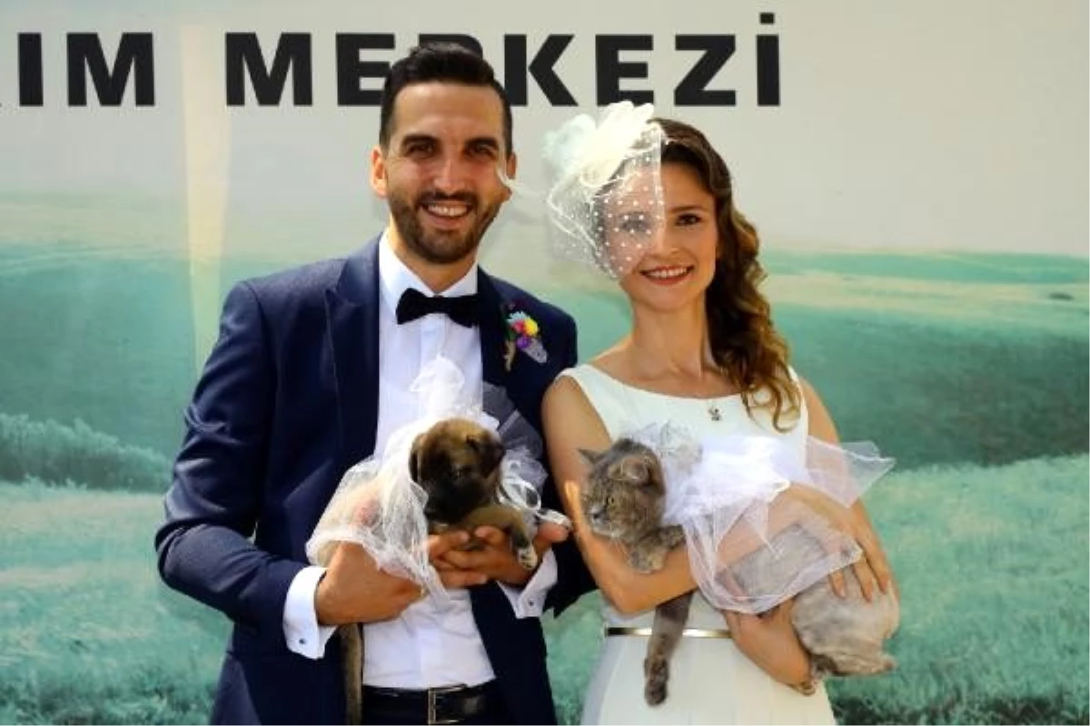 Hayvansever çift, barınakta evlendi