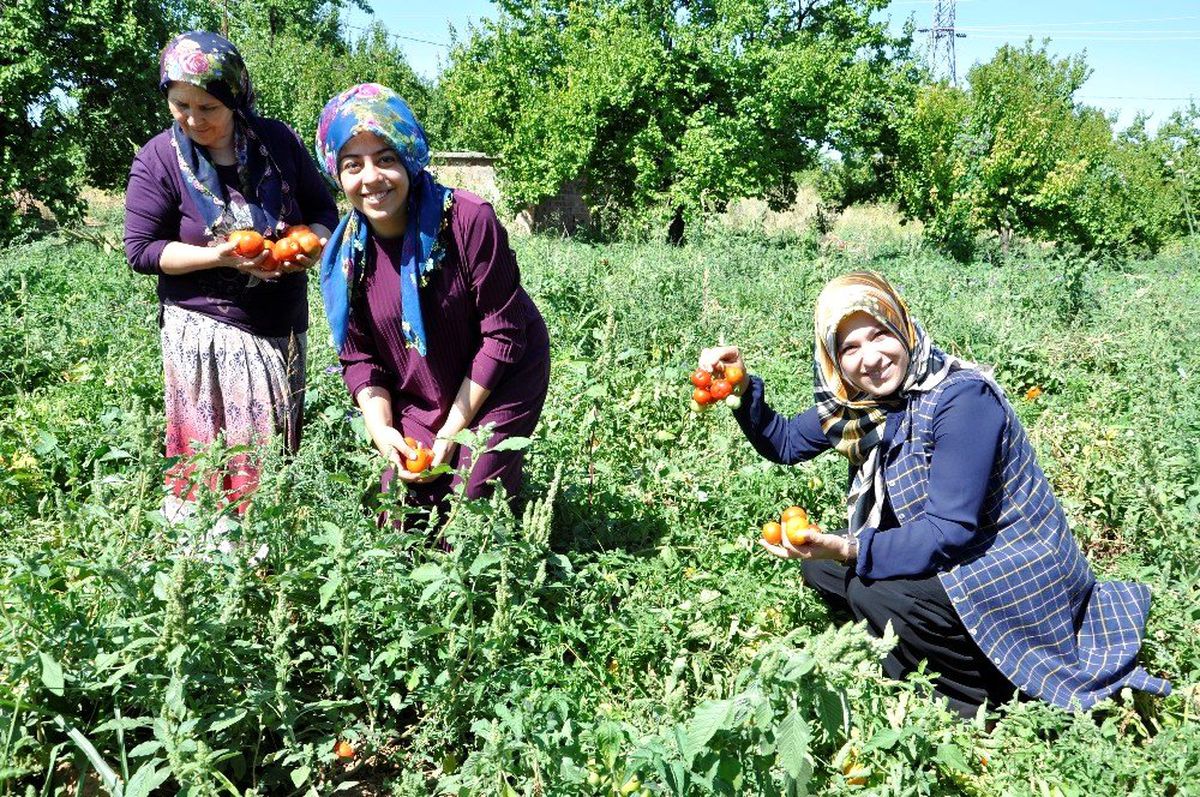 Kadın girişimciler, kurdukları kooperatifle siparişlere yetişemiyor