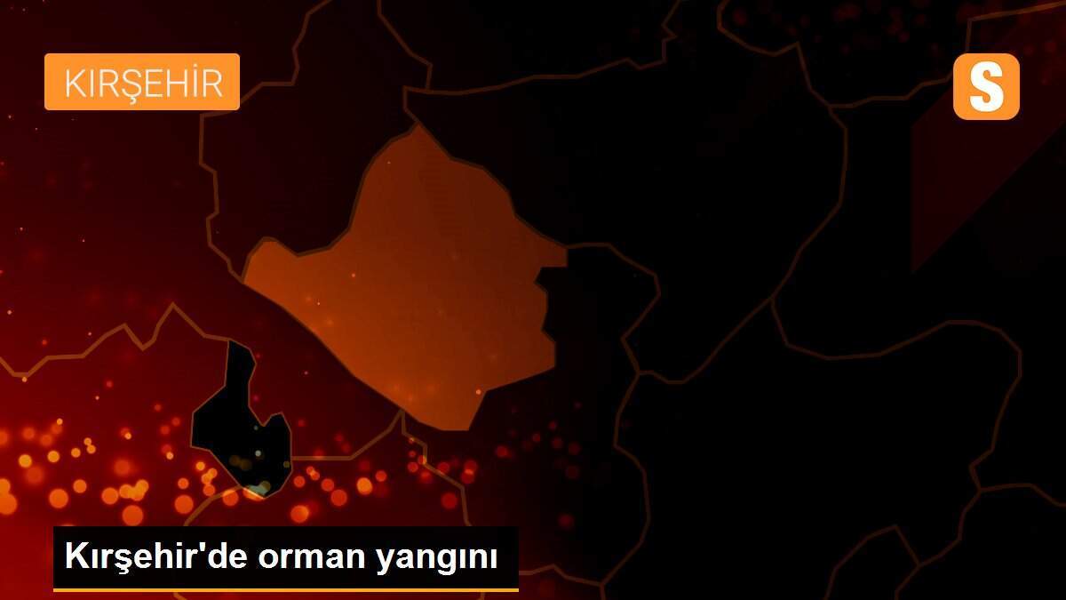 Kırşehir\'de orman yangını