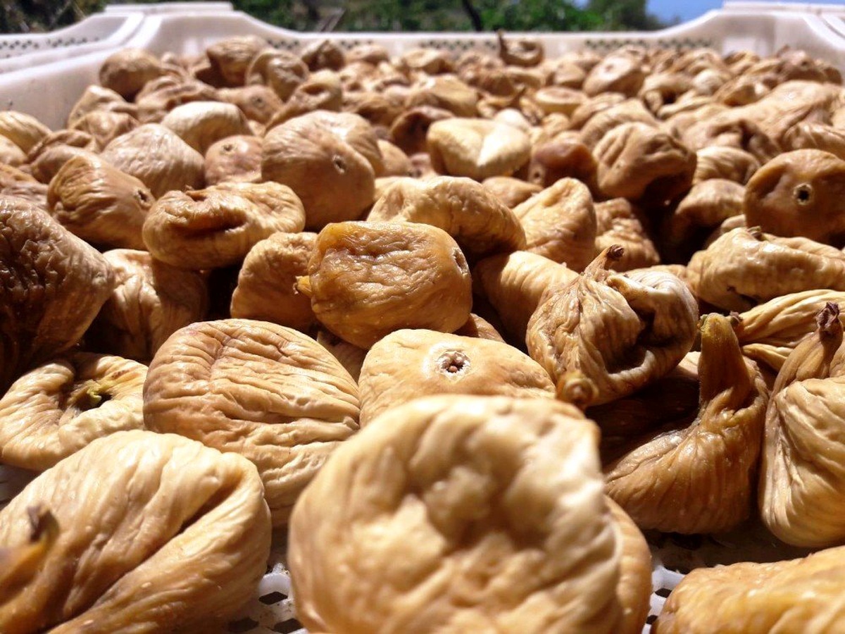Kuru incir 23, siyah salamura zeytin 7.25\'den işlem gördü