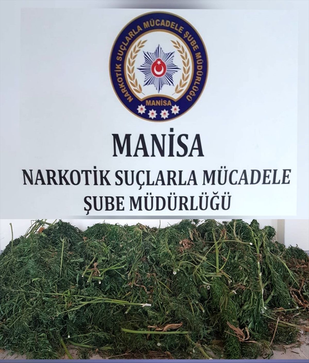 Manisa\'da uyuşturucu operasyonu