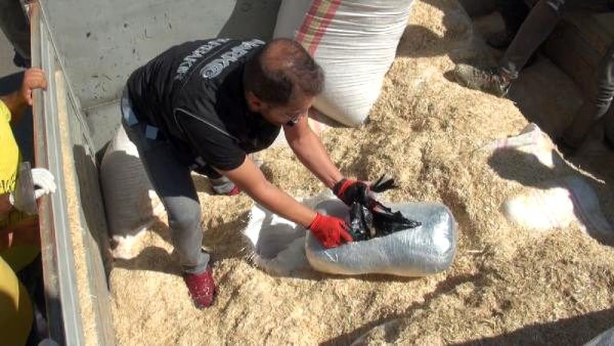 Saman yüklü kamyonda 663 kilo esrar ele geçirildi