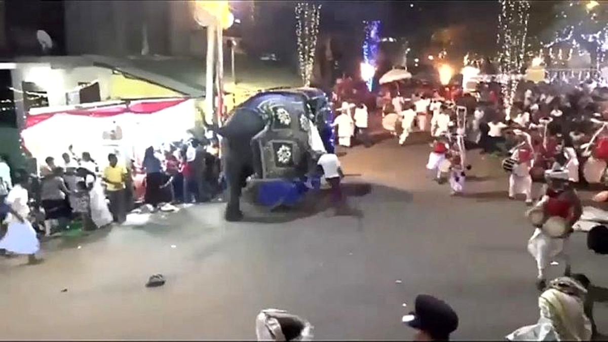 Sri Lanka\'da geçit töreninde ürken filler kalabalığa daldı: 17 yaralı