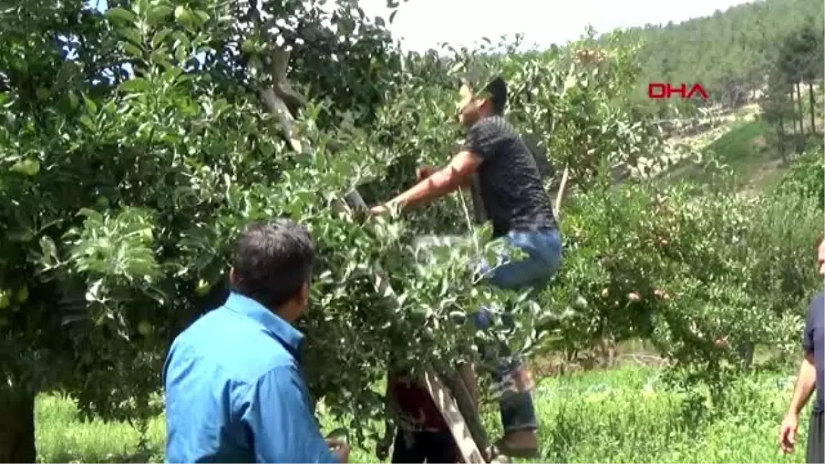 Hatay kan bağışı yapan vatandaşlara kitap dağıtıldı