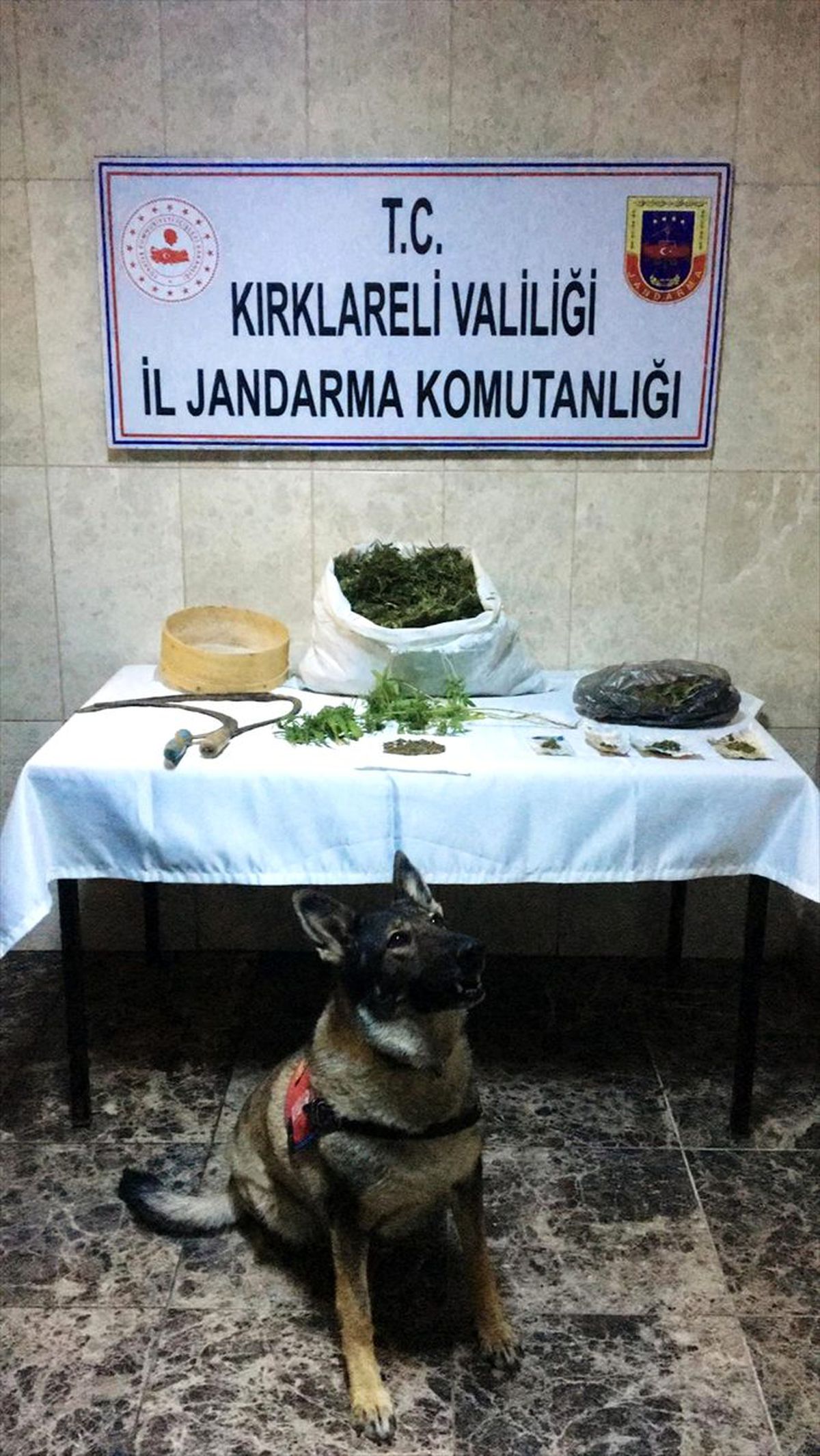 Kırklareli\'nde uyuşturucu operasyonu