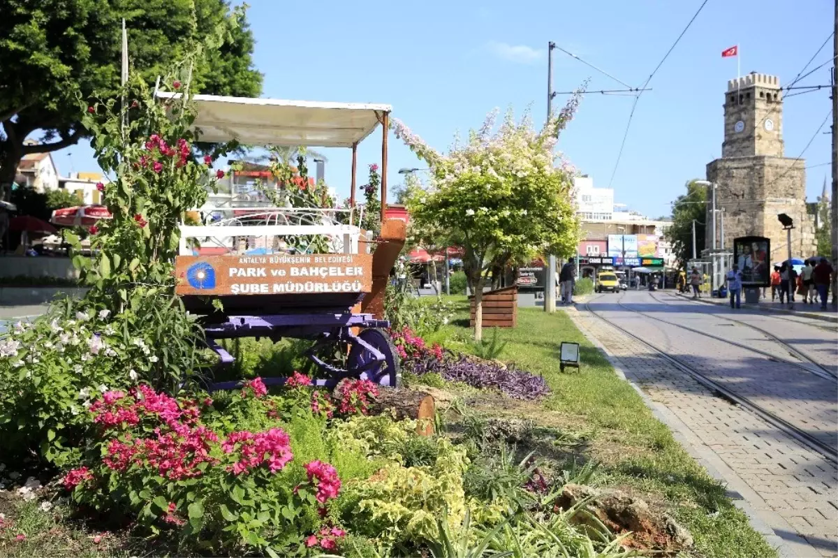 Kullanımdan kaldırılan faytonlar şehir süsü oldu