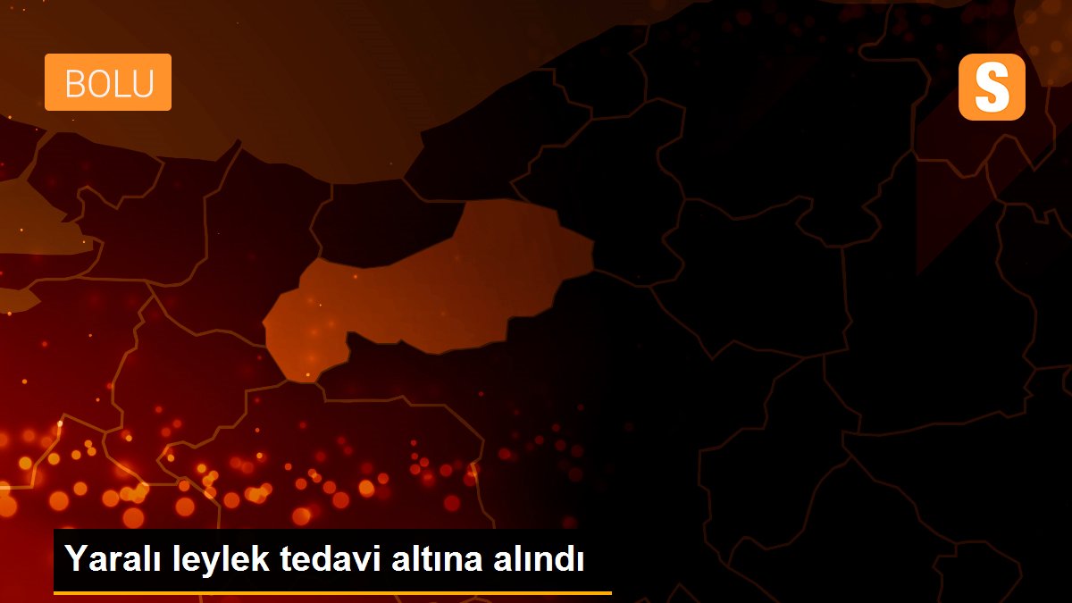 Yaralı leylek tedavi altına alındı