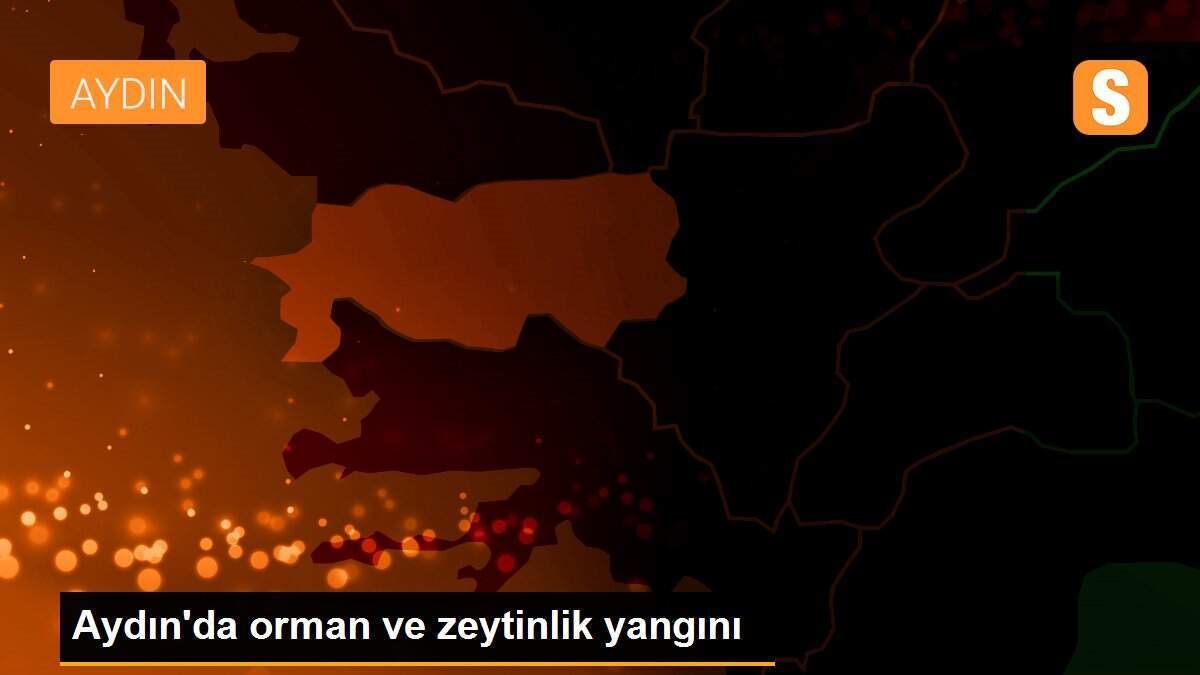Aydın\'da orman ve zeytinlik yangını