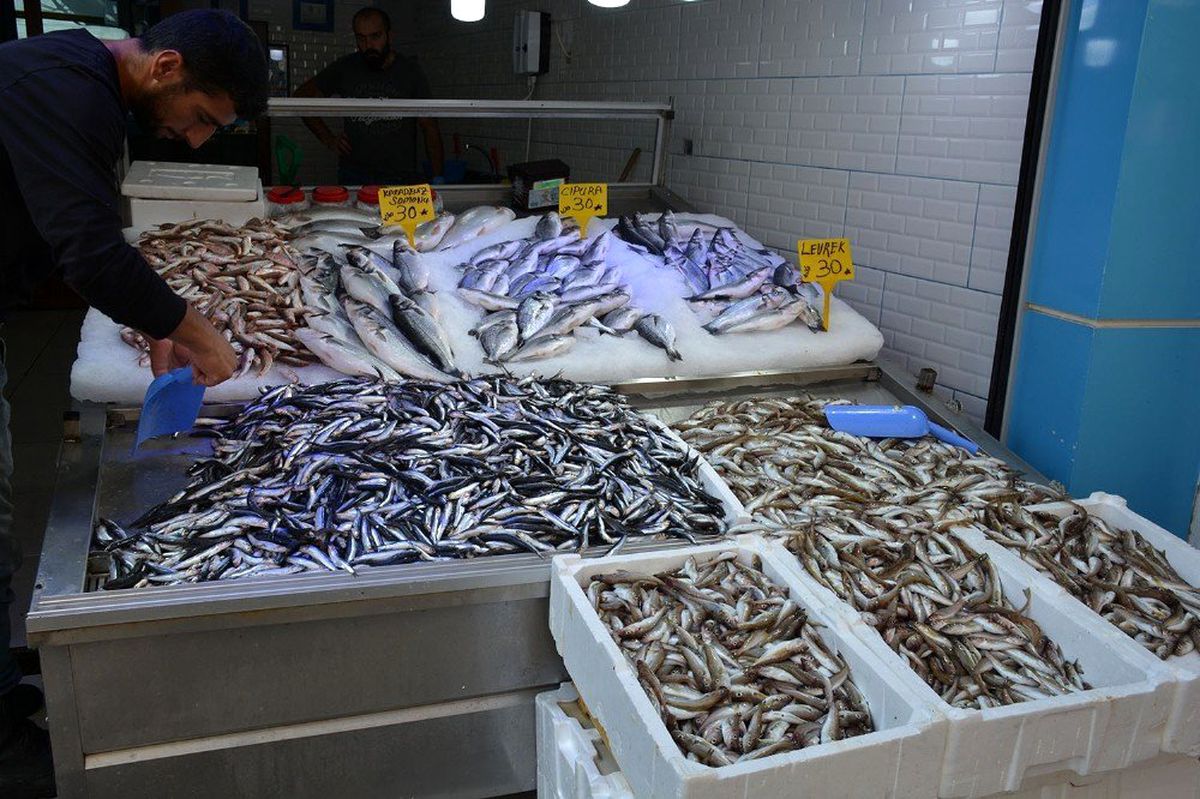 Balıkçı esnafı satışlardan memnun değil