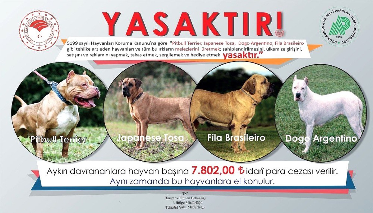 Bu hayvanların ülkeye girişi, satışı ve sahiplenilmesi yasak