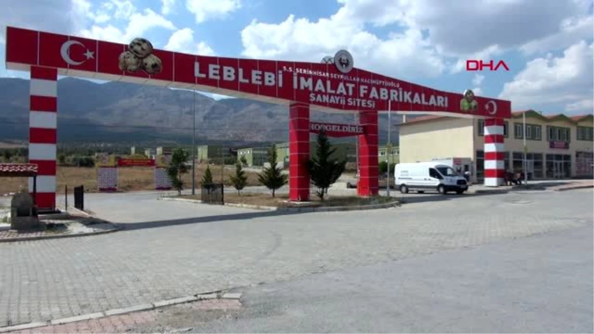 Denizli-15 bin nüfuslu serinhisar, dünyanın leblebisini üretiyor