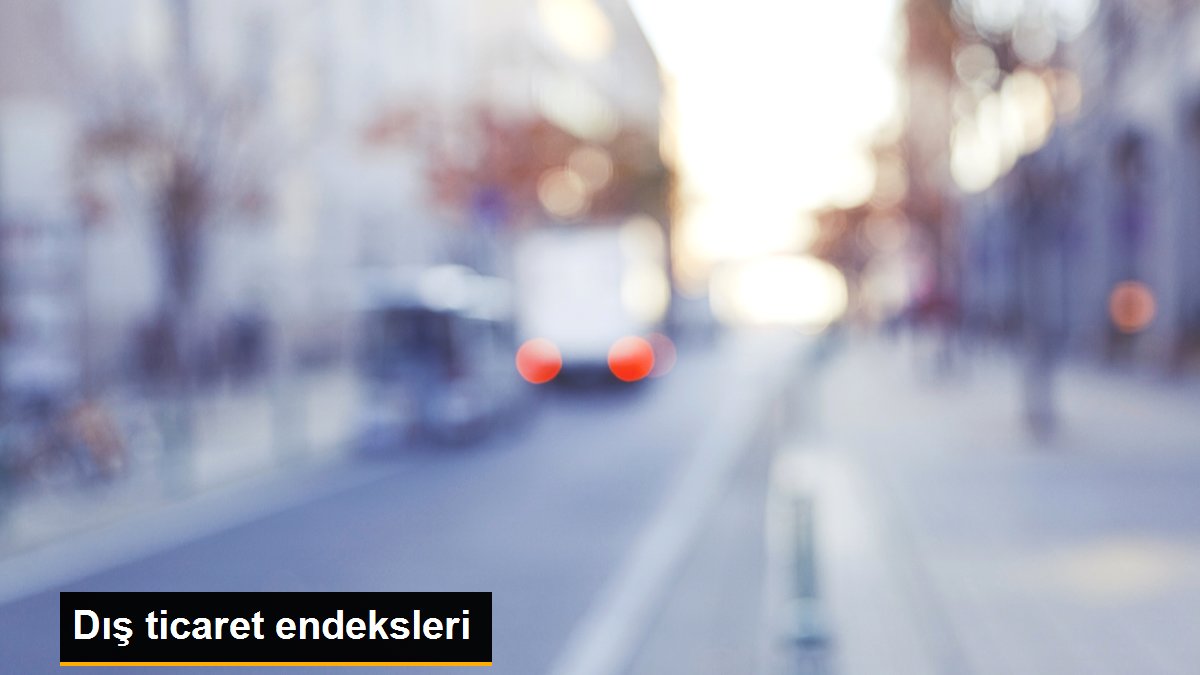 Dış ticaret endeksleri