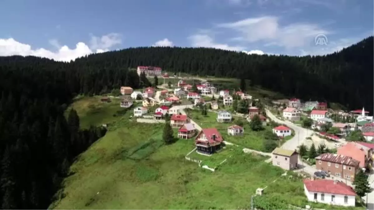 Doğadan gelen zenginlik: Karadeniz mutfağı