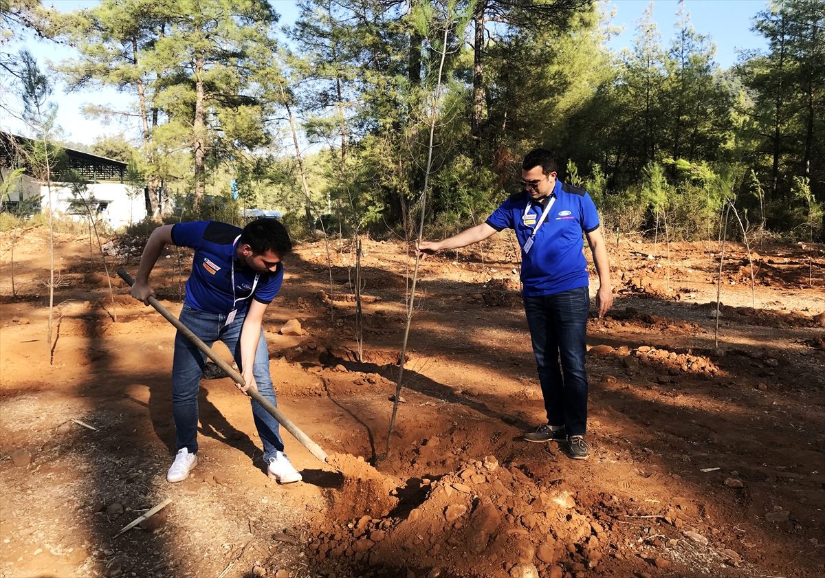 Dünya Ralli Şampiyonası\'nın Türkiye etabı
