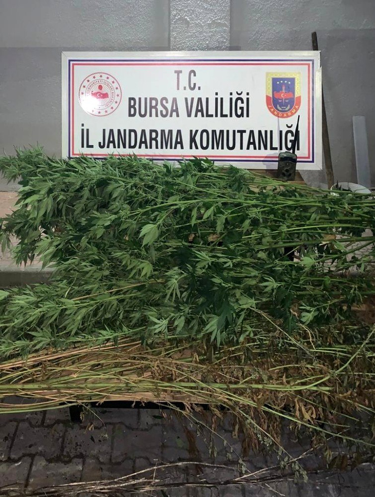 Fotokapanla zehir tacirlerini yakaladılar