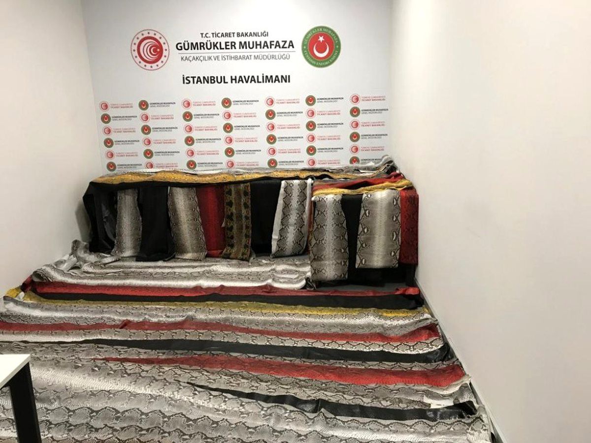 İstanbul Havalimanı\'nda 355 metre işlenmiş yılan derisi yakalandı