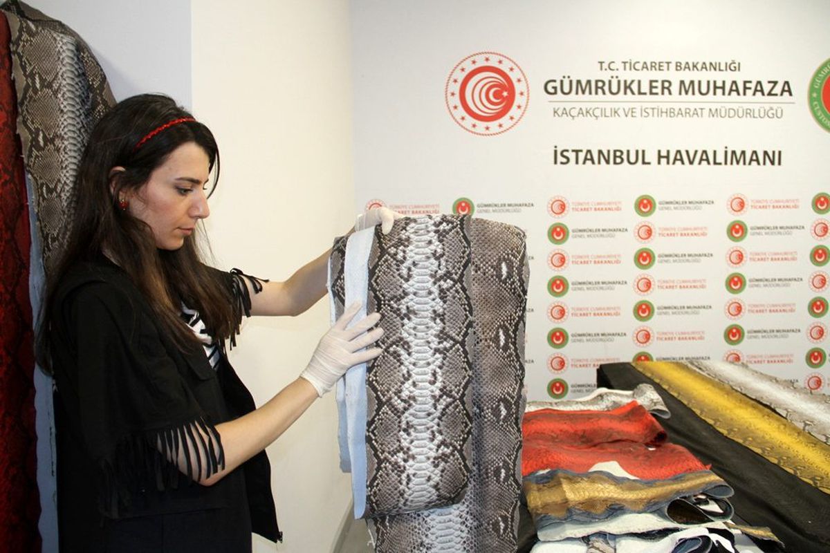 İstanbul Havalimanı\'nda ele geçirilen yılan derilerinin değeri 320 bin TL