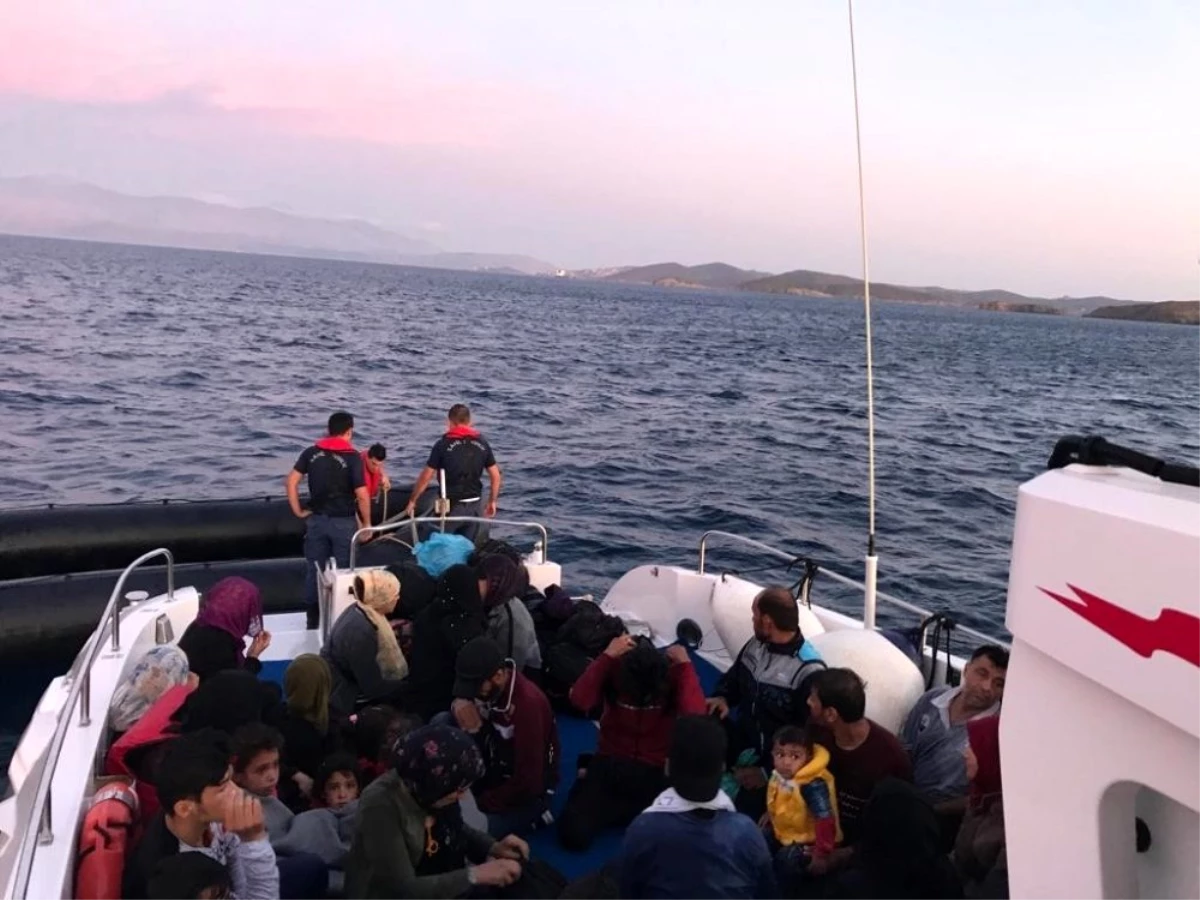 İzmir\'de 181 kaçak göçmen yakalandı