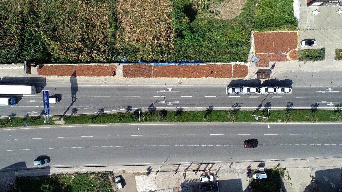 Karadeniz Sahil Yolu fındık harmanı oldu