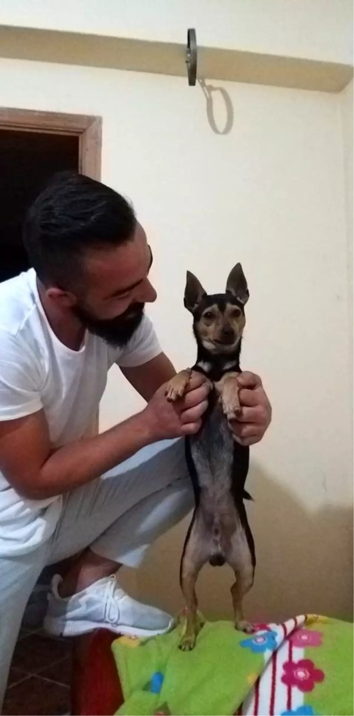 Köpeğini bulan kişiye 500 TL para ödülü verdi