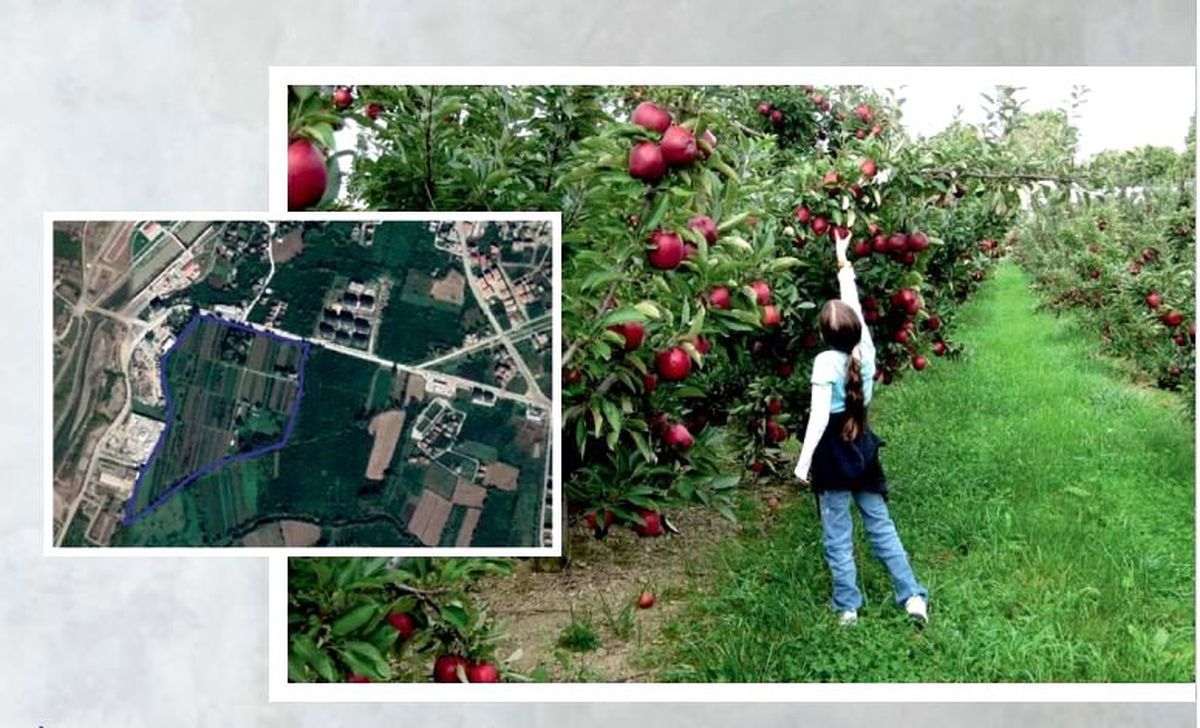 Mergiç Park Düzce\'nin akciğeri olacak