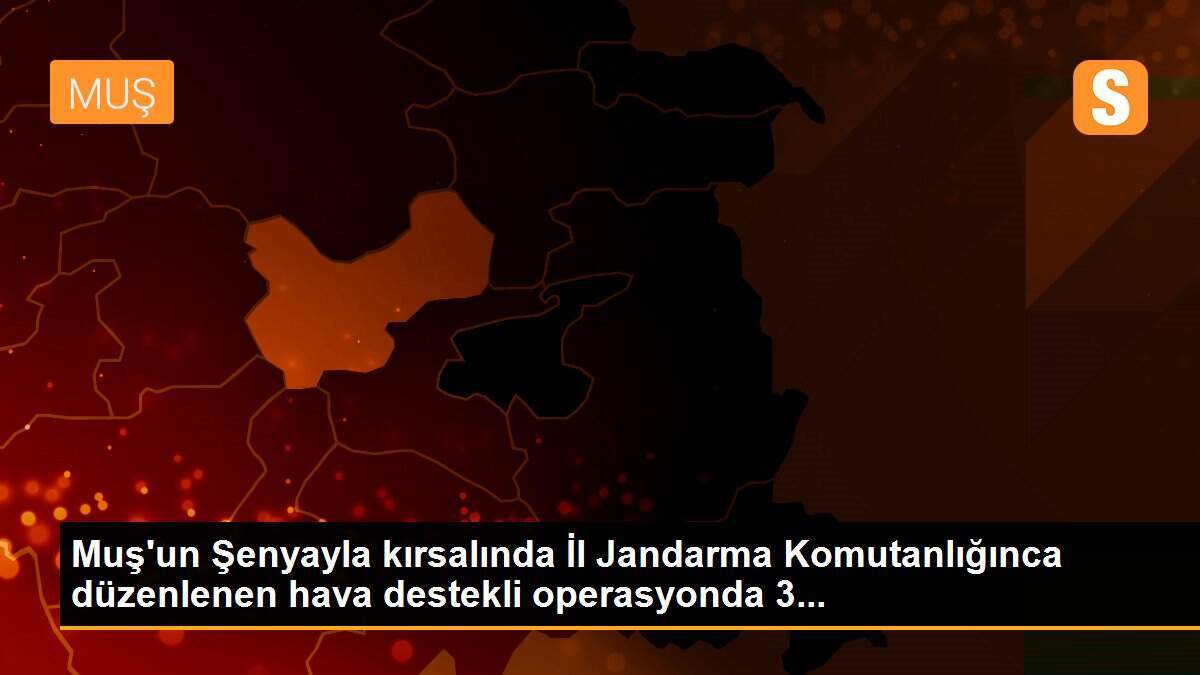Muş\'un Şenyayla kırsalında İl Jandarma Komutanlığınca düzenlenen hava destekli operasyonda 3...