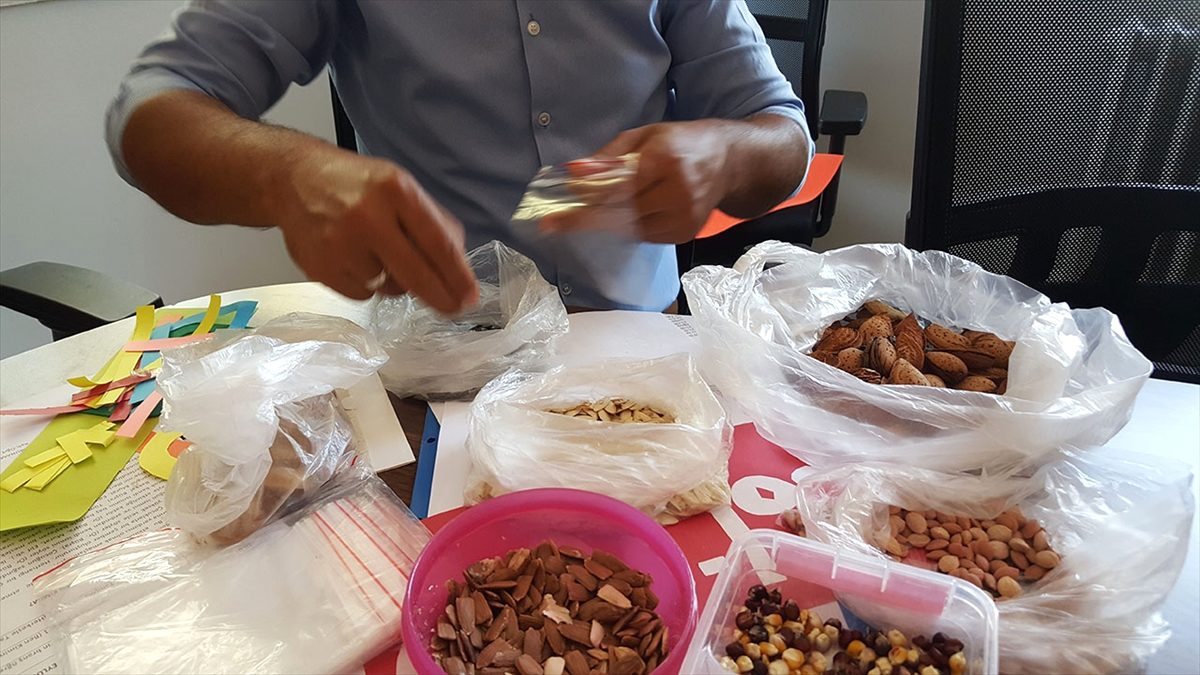 Öğrencilere organik tohum hediye edildi