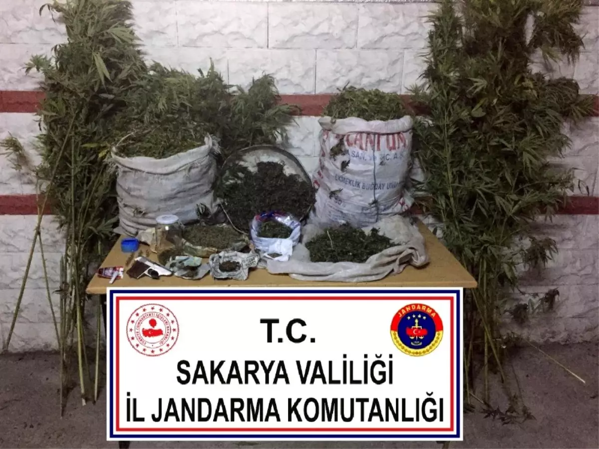 Sakarya\'da jandarma operasyonunda 25 kilo esrar ele geçirildi: 3 gözaltı