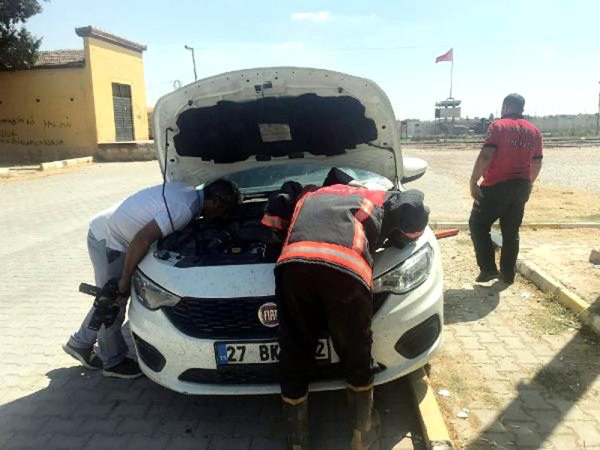 Sınırda gazetecilerin otomobiline kedi girdi