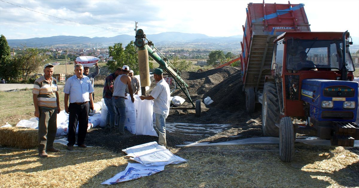 Vezirköprü\'de ayçiçeği alımı