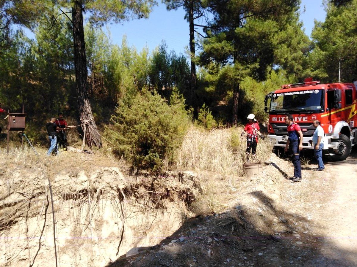 15 metrelik obruğa düşen kediyi itfaiye kurtardı