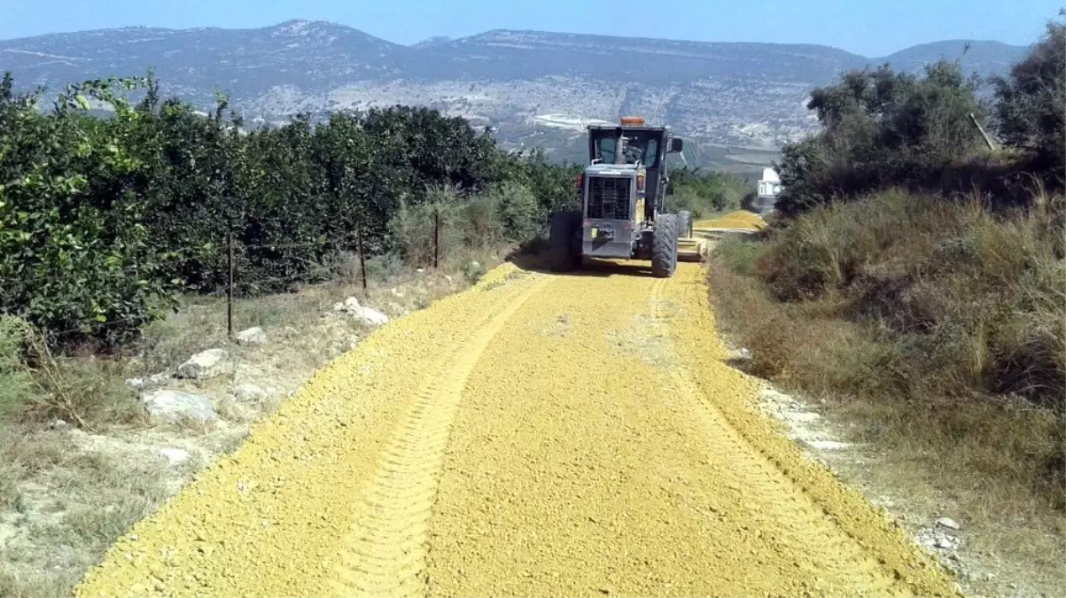 Akdeniz Belediyesi, üreticiler için yeni tarım yolları açıyor