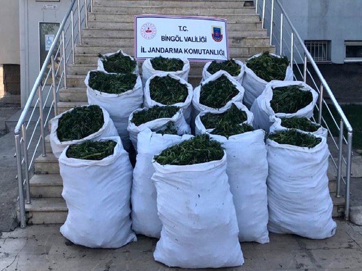 Bingöl\'de 89 kilo esrar ve 270 bin kök kenevir ele geçirildi