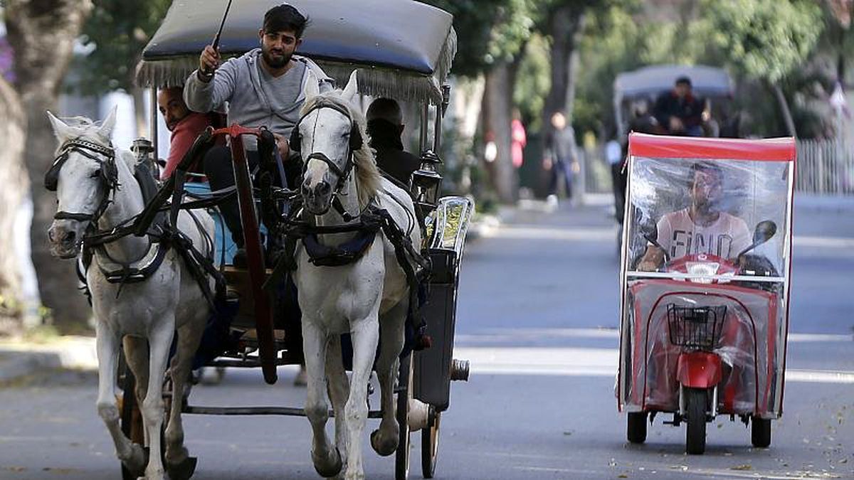 Büyükada\'nın çözülemeyen ulaşım problemi: Tek sorumlu fayton mu?