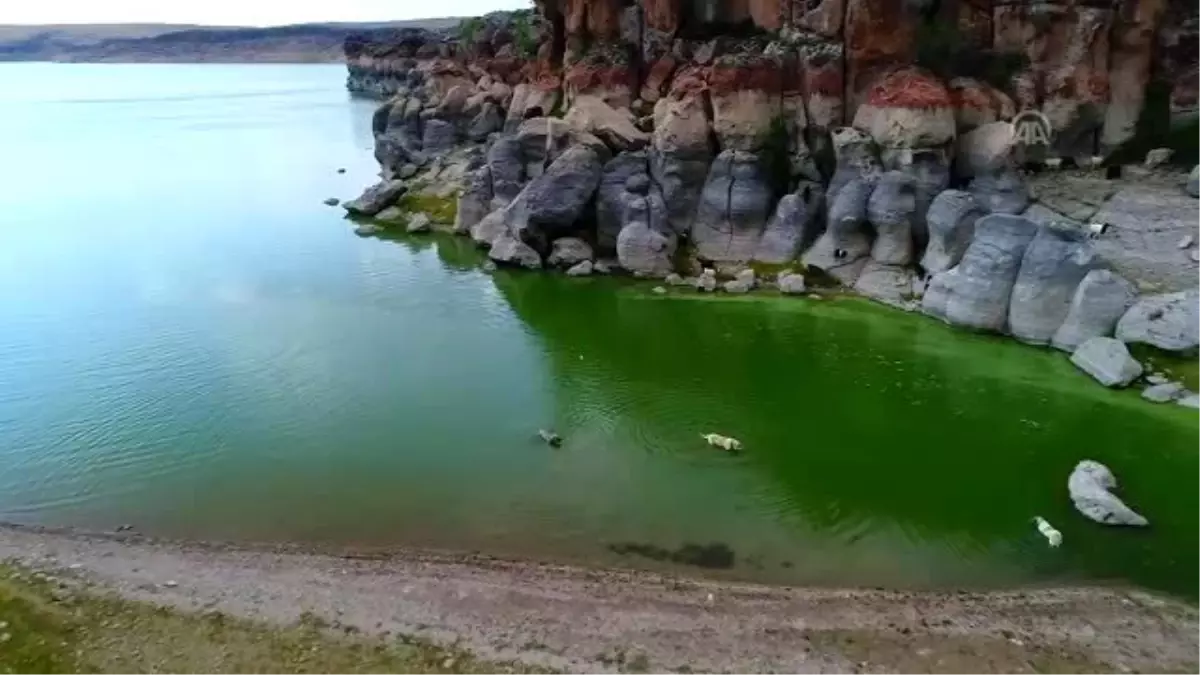 Çin\'in han koyunları "Anadolu aslanı"na emanet