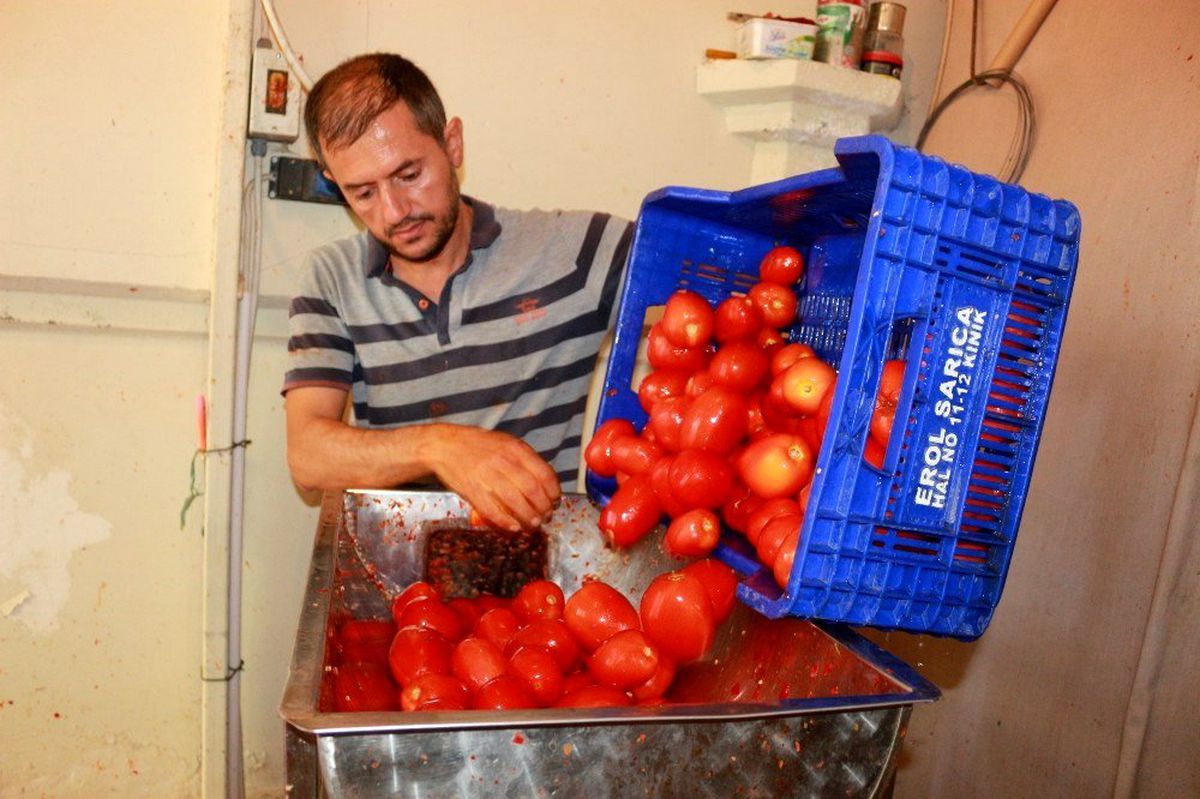 Ev yapımı salça sezonu başladı