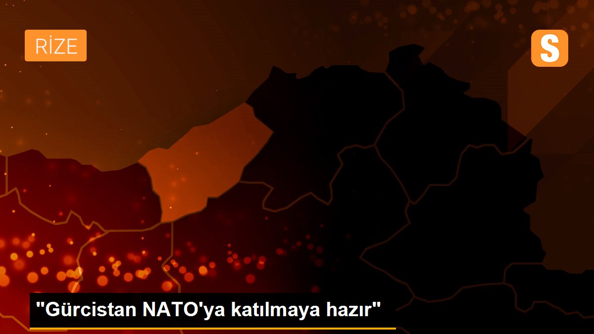 "Gürcistan NATO\'ya katılmaya hazır"